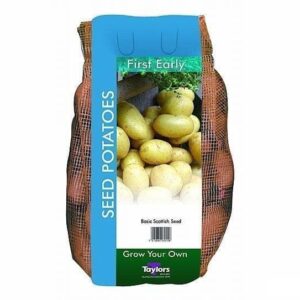 Taylors Seed Potatoes Rocket 2kg Tubers First Early