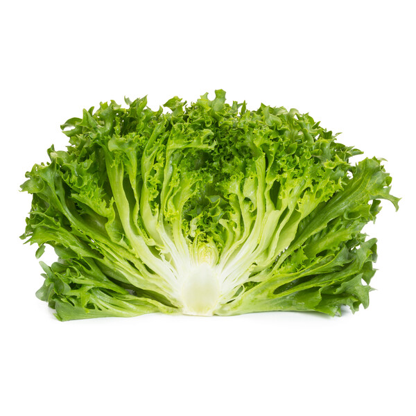 dunand2.png