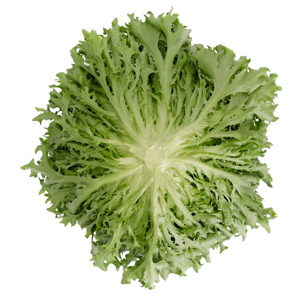 exca4.png
