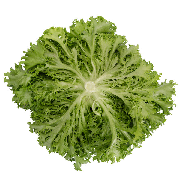 excu1.png