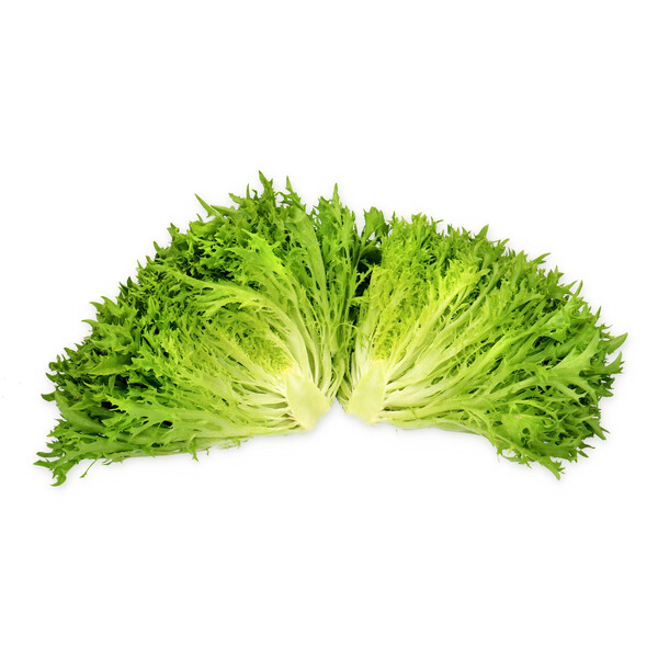 exon2.png