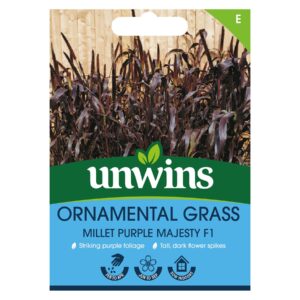 Unwins Flower Ornamental Grass Millet Purple Majesty F1 Hybrid - 8 Seeds